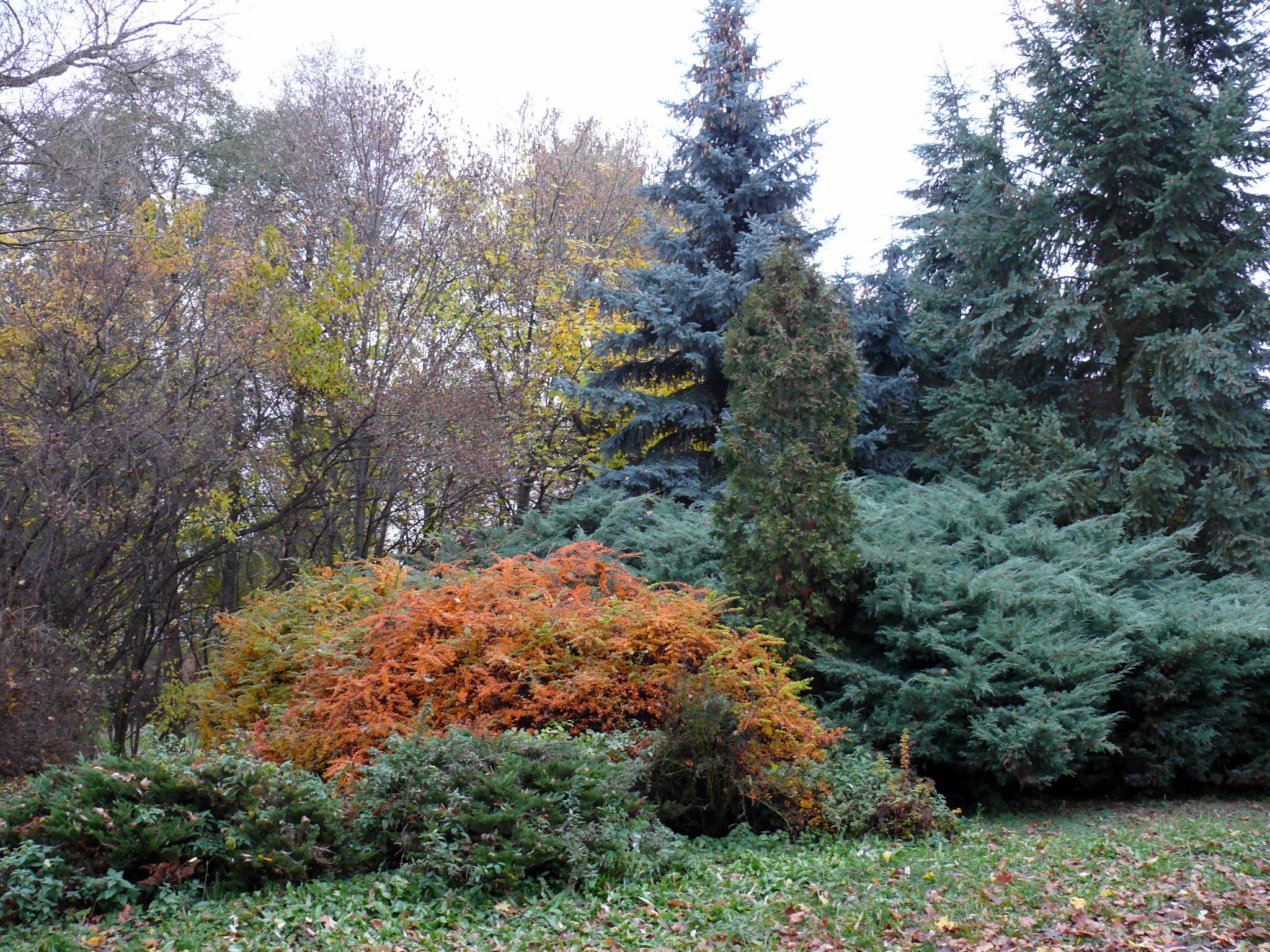 P1210062.JPG
