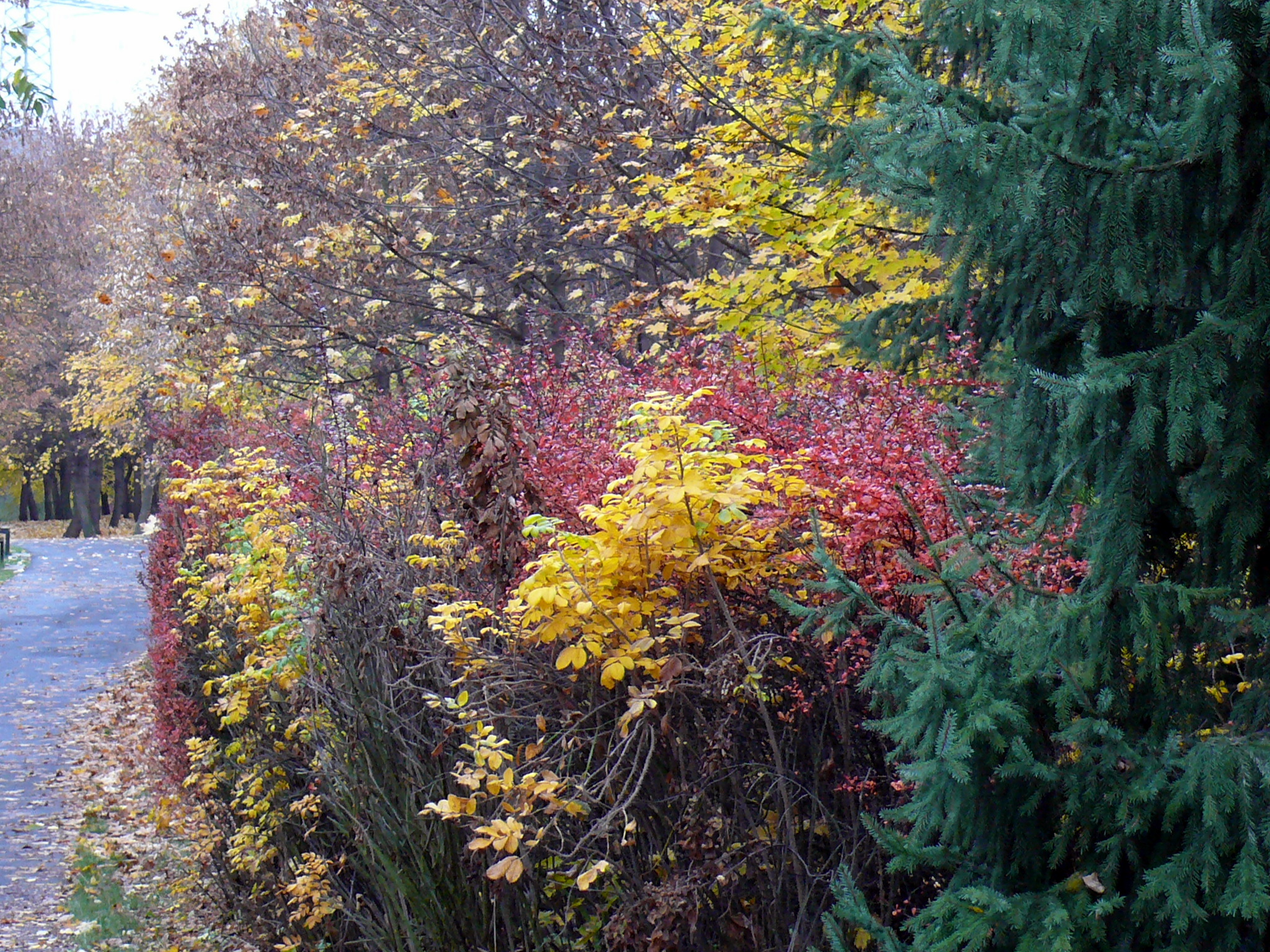 P1210066.JPG